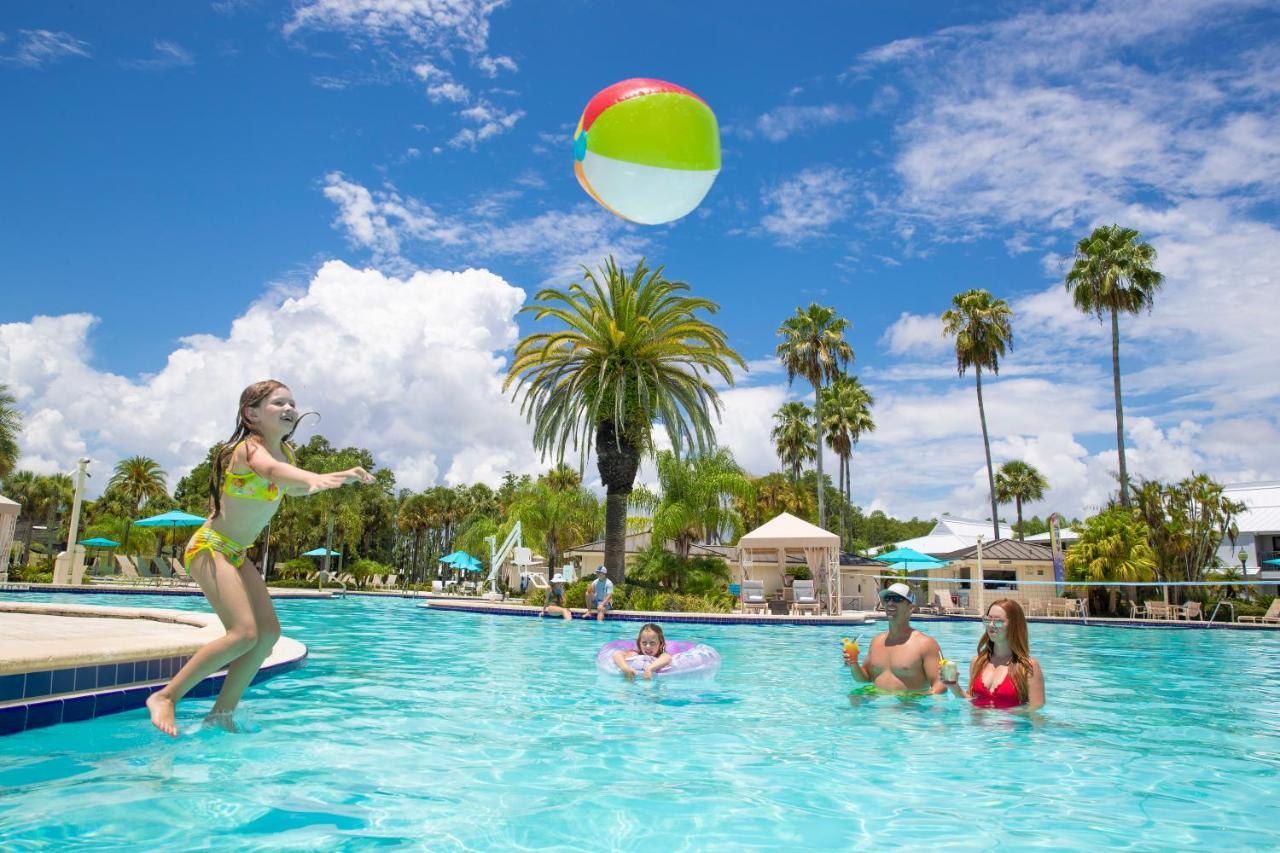 Saddlebrook Golf Resort & Spa Tampa North-Wesley Chapel Luaran gambar