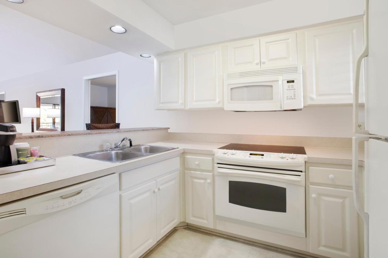 Saddlebrook Golf Resort & Spa Tampa North-Wesley Chapel Luaran gambar