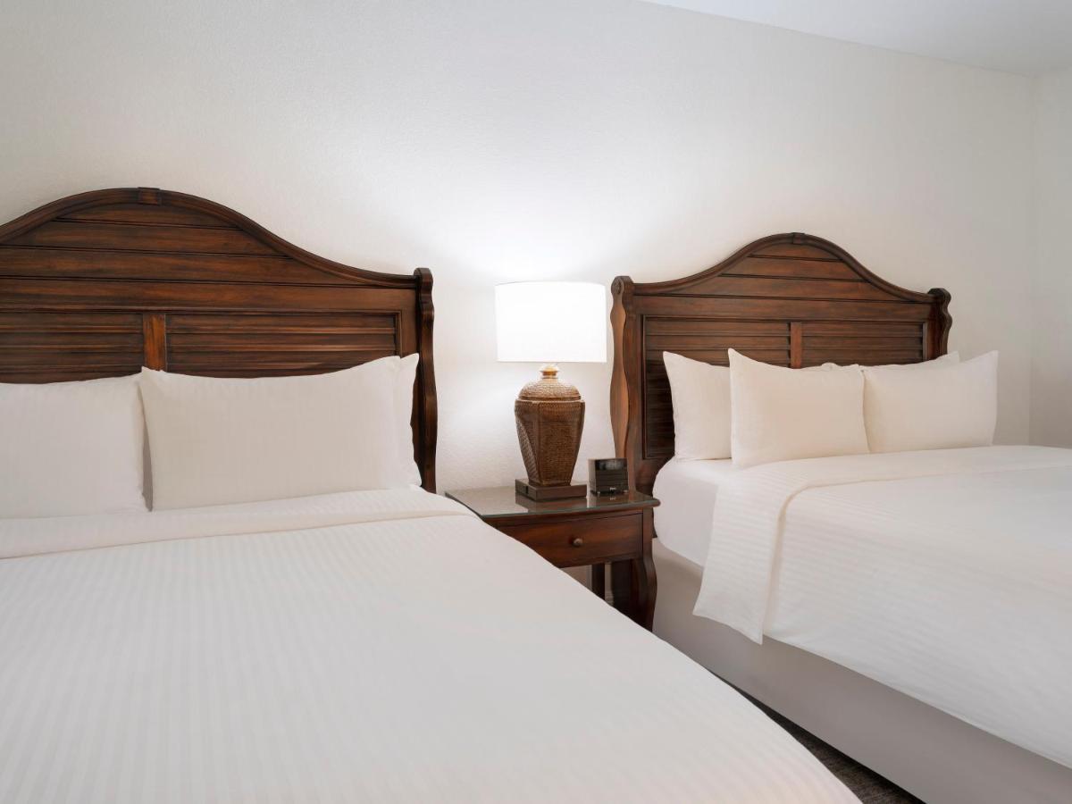 Saddlebrook Golf Resort & Spa Tampa North-Wesley Chapel Luaran gambar