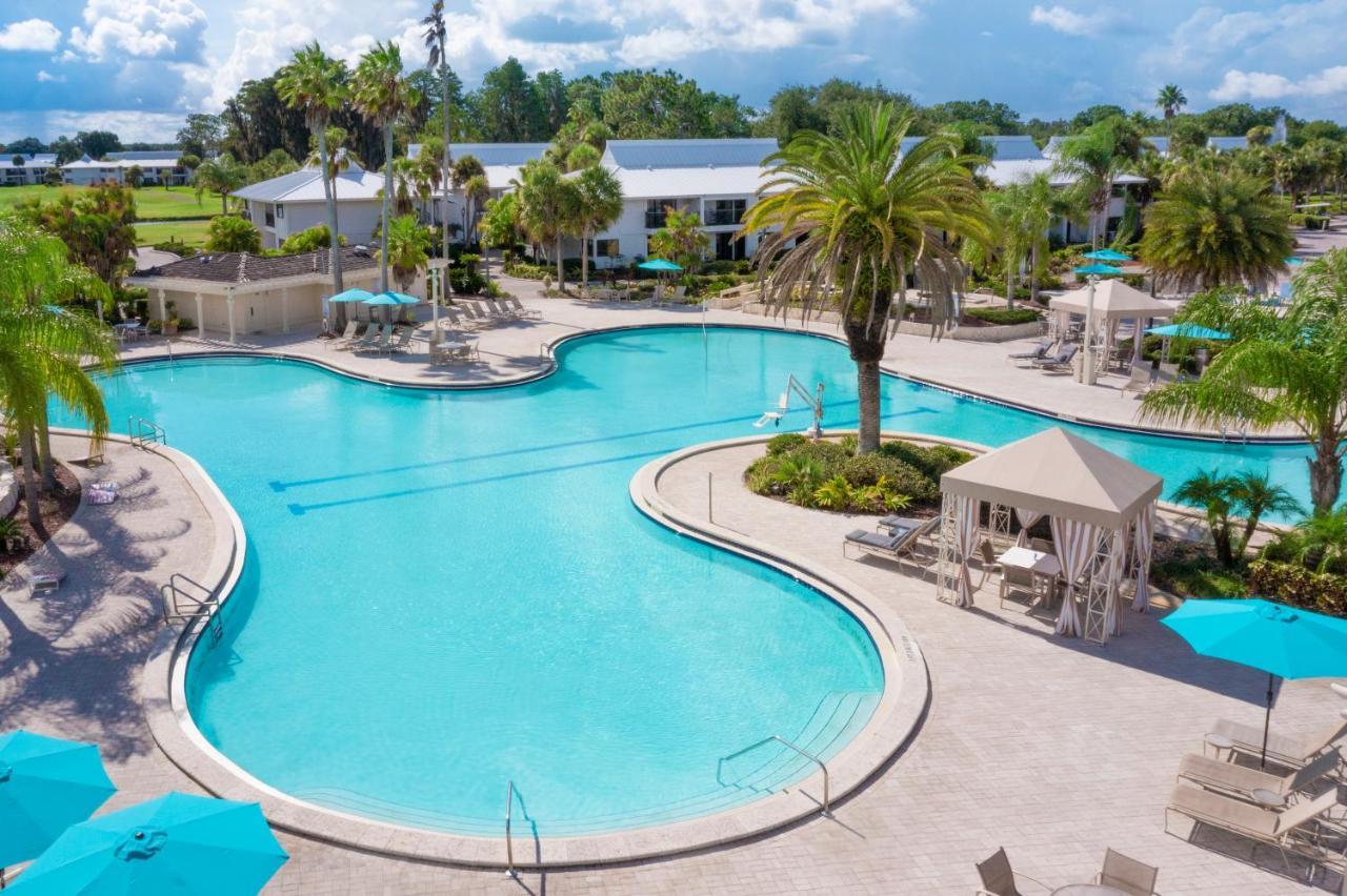 Saddlebrook Golf Resort & Spa Tampa North-Wesley Chapel Luaran gambar